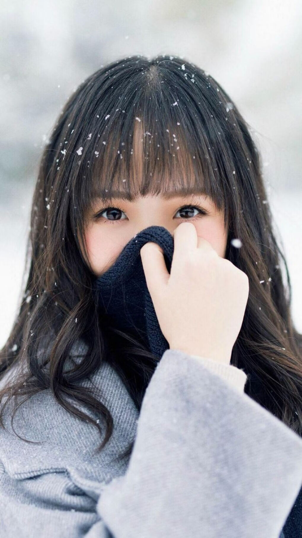 皇家马德里俱乐部签约法国前锋,引发球迷热议,皇家马德里法国球员