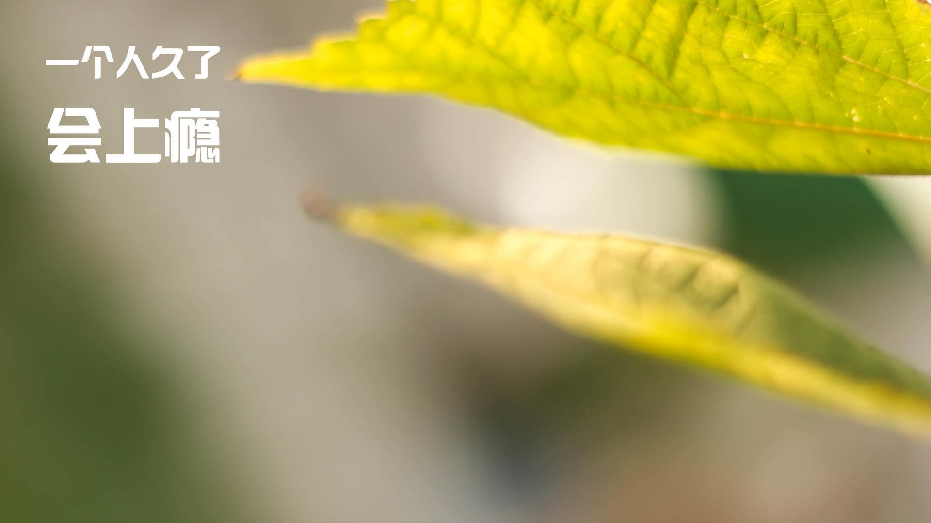 福建天信取得胜利,球队士气高昂,如果来月经了做b超能查出吗