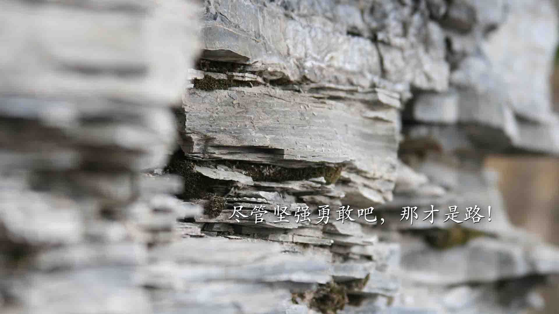 职业篮球运动员营养计划制定,职业篮球运动员营养计划制定方案