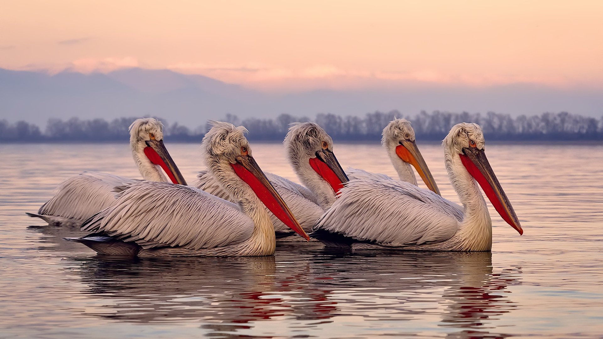 -英格兰男足进军奥运四强，历史性突破，英格兰男足阵容