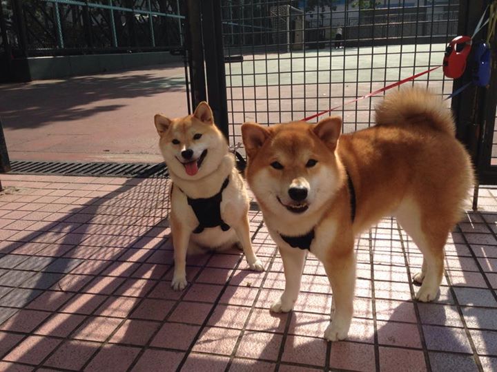 葡萄牙体育球员转会动态,葡萄牙球队2021