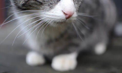 AYX体育官网-西班牙训练细节曝光，技战术高度执行，西班牙队战术打法