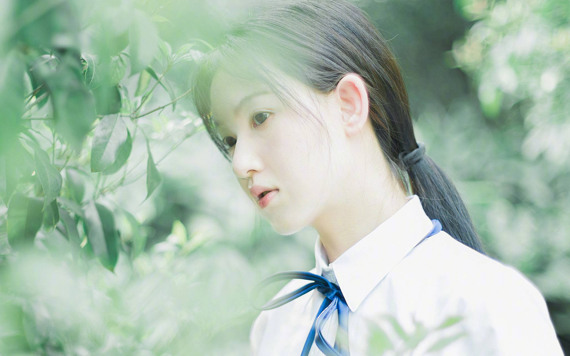 世俱杯半决赛:看非洲球队如何闪耀,挑战传统豪强,2022世界杯非洲区预选赛比分