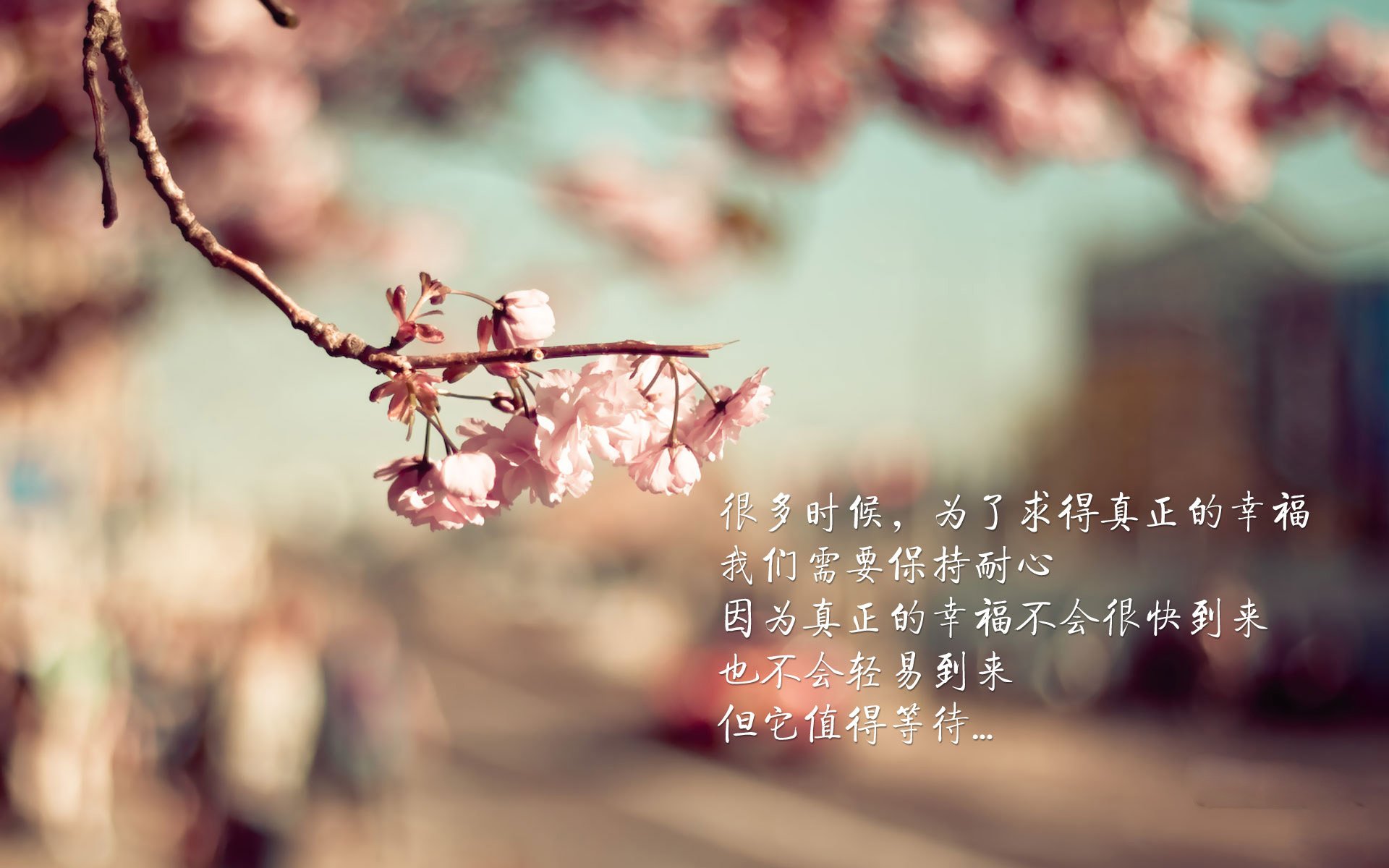 中国青少年篮球运动员心理健康促进策略,篮球心理训练