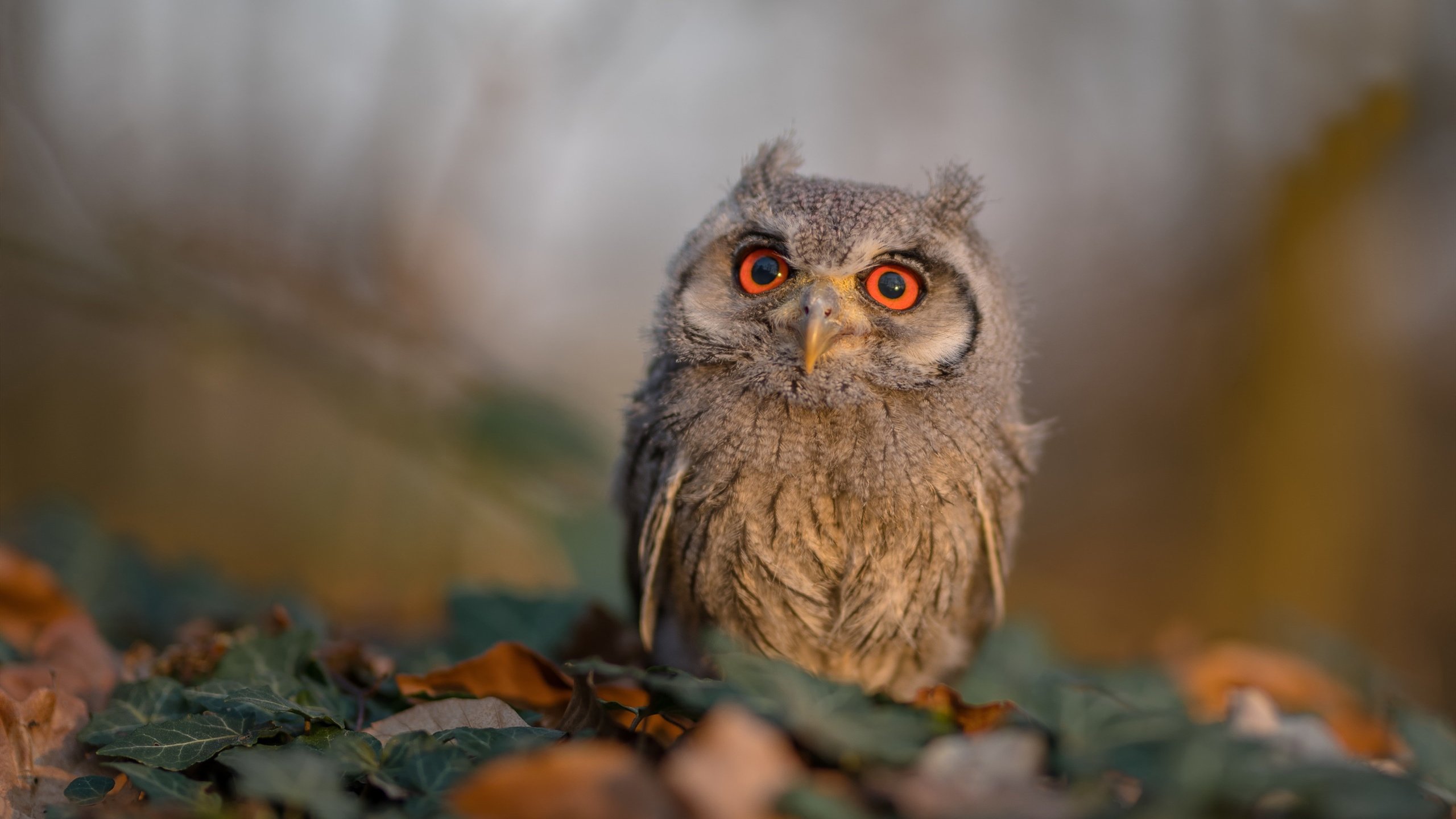 体育科研成果转化路径,体育科研成果转化路径是什么