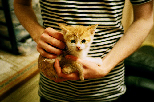 中国三人篮球女队展现卓越防守能力,中国三人篮球女篮