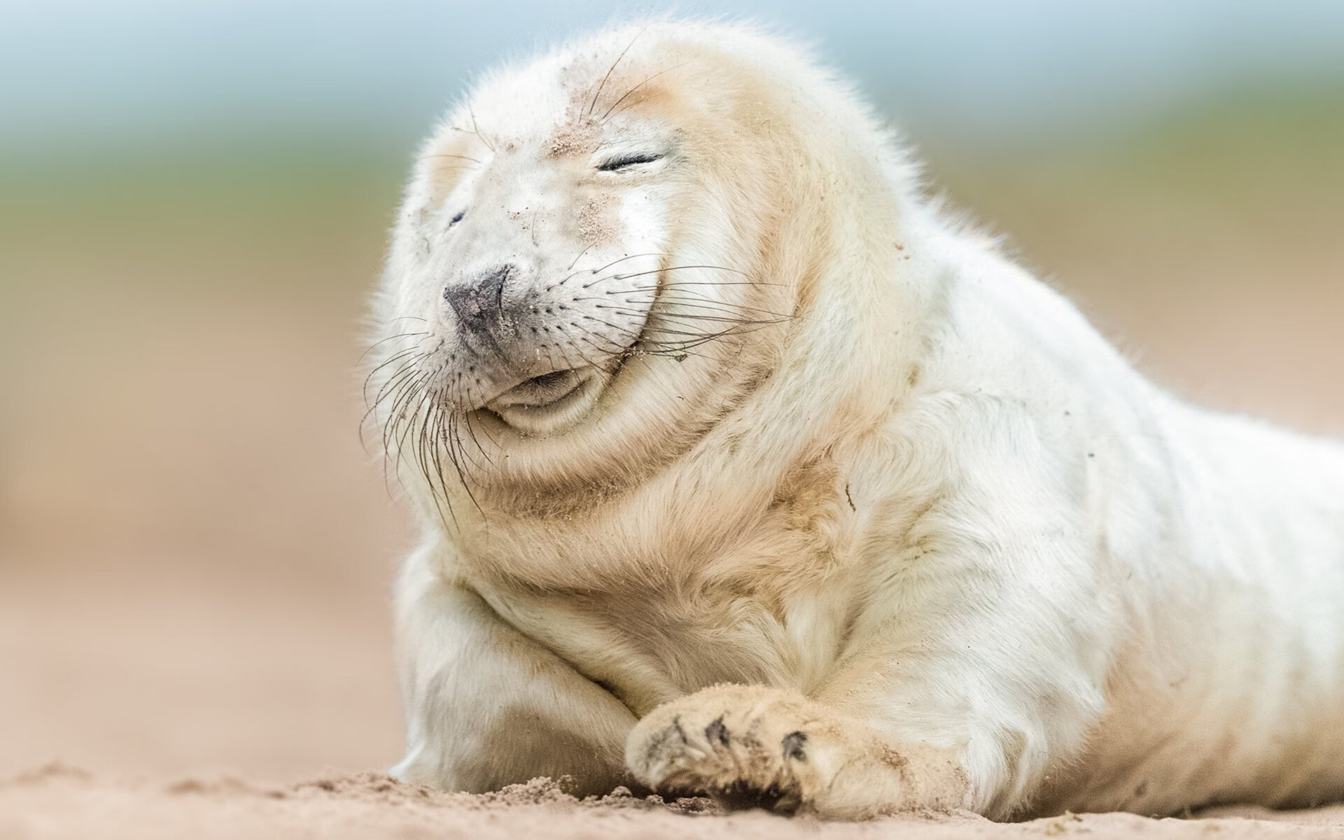 主力球员红牌缺阵是否会影响整支球队防守体系，红牌下场 球队就10个人吗