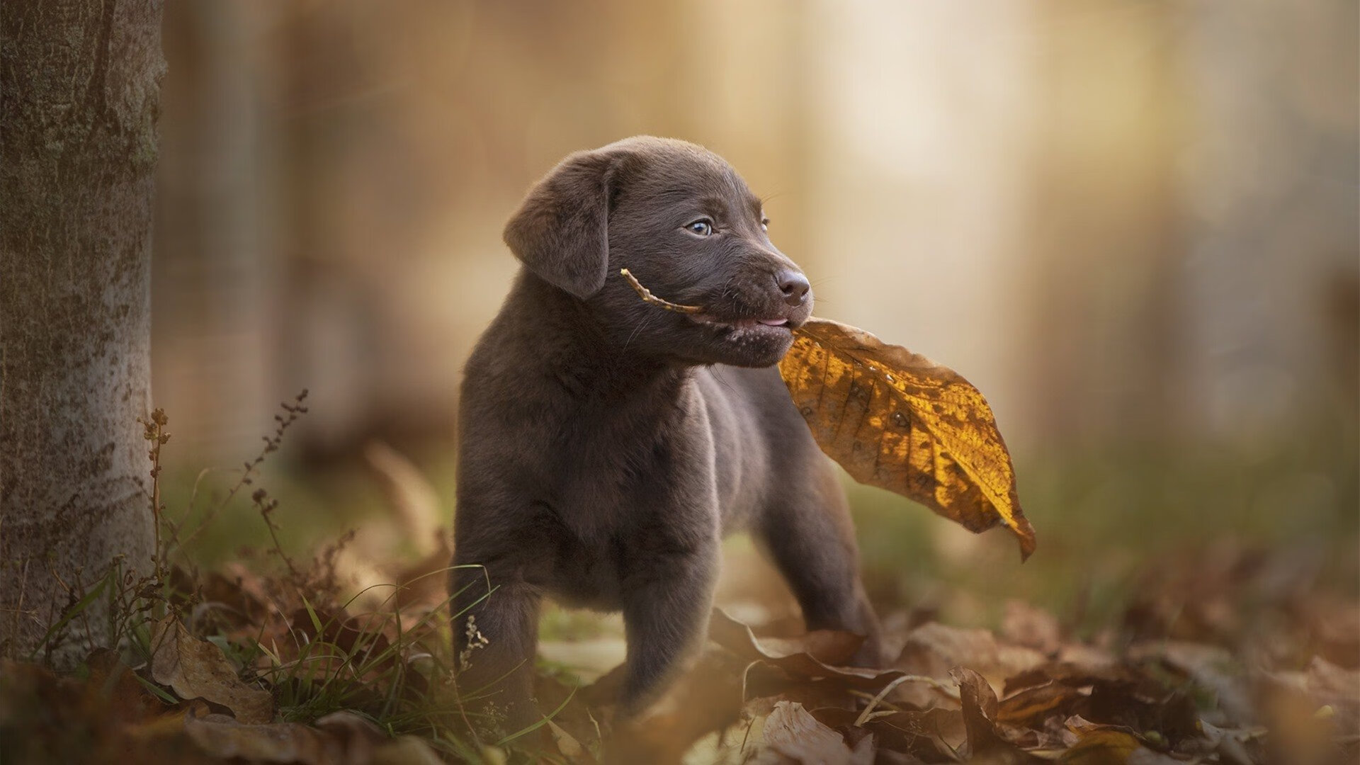 爱游戏体育官方网站-体育新闻中心启动体育内容原创人才培养项目，体育新闻招聘