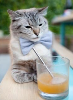 划水平均周期对比:中国控节奏,美控配速