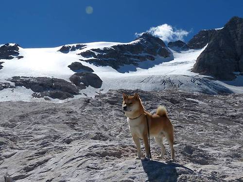 中国足球青少年训练课程涵盖足球历史知识,中国青少年足球发展规划纲要
